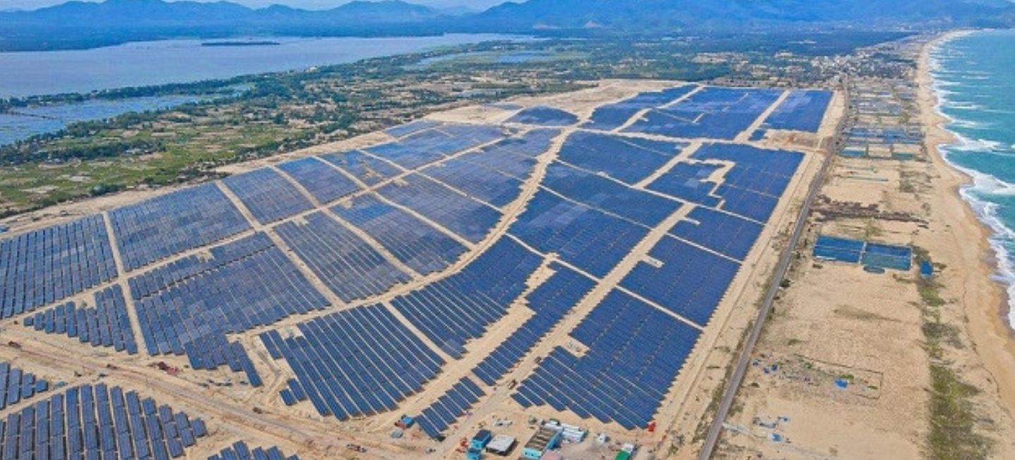 NetZero Profile