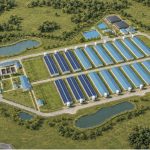 Netzero Energy đầu tư giải pháp điện mặt trời và điện biogas cho trang trại Tấn Phát Một tại Gia Lai